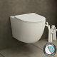 Abacus Wall Hung Rimless Toilet & Seat, Round Button Concealed Wc Cistern Frame