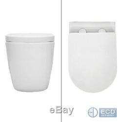 BTW back to wall pan round toilet WC soft close seat white hung toilet rimless
