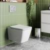 Bathroom Rimless Toilet Soft Close Seat Square Back To Wall Btw Wall Hung White