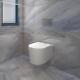 Bathroom Square Rimless Wall Hung Toilet Soft Close Seat With Concealed Cistern