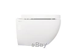 Bathroom Wall Mounted WC Toilet with Frame + Concealed Cistern + Soft Close Seat