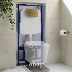 Concealed Cistern with 1170mm Wall Hung Toilet Frame and Br BUN/BeBa 25874/77214
