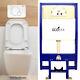 Concealed Toilet Cistern Wall Hung Back To Wall Frame Dual Flush White Button