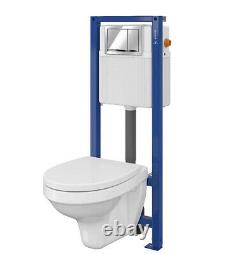 Delfi Wall Hung Toilet and Mounting Frame with Button Flush with Seat