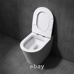 Designed Bathroom Toilet WC Pan Ceramic Back To Wall White with Soft Close Seat