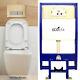 Ecospa Wc Concealed Wall Hung Toilet Cistern Frame + Dual Gold Eco Flush Plate