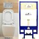 Ecospa Wc Concealed Wall Hung Toilet Cistern Frame + Dual Satin Eco Flush Plate