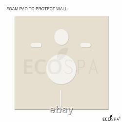 ECOSPA WC Concealed Wall Hung Toilet Cistern Frame + Dual Satin Eco Flush Plate