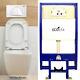 Ecospa Wc Concealed Wall Hung Toilet Cistern Frame + Dual White Eco Flush Plate
