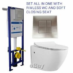 Frame Cistern Flush Plate With Wall Hung Rimless Toilet And Soft Closing Seat
