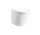 Grampian Rimless Toilet Bowl Only 470mm Projection Wall Hung Wc Ifgr60ac1