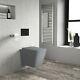 Grey Wall Hung Rimless Toilet And Soft Close Seat Augusta