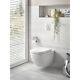 Grohe Solido 5in1 Euro Toilet Set Wall Hung Toilet With Wall Frame And Conceal