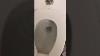 Kohler Wall Hung Toilet Flushing