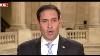 Marco Rubio Falls On His Face Over Simple Trump Question He Can T Answer