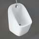 Rak Series 600 Wall Hung Urinal 310mm Wide Alpine White