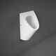 Rak Venice Waterless Urinal Bowl Ceramic Wall Hung