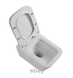Rimless Square Wall Hung Toilet Pan Grohe Wc Frame 38772001 Radid Sl Chrome Flus