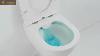 Rimless Wall Hung Toilet