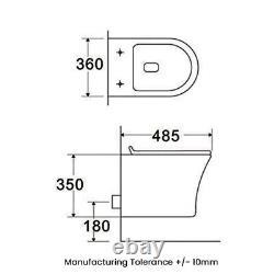 Rimless Wall Hung Toilet Pan Soft Seat & Dual Cistern Frame Brass Flush Plate