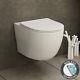 Rimless Wall Hung Toilet Pan Soft Seat & Dual Cistern Frame Wc Brass Flush Plate
