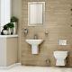 Toilet Wc Basin Bathroom Suite Wall Hung Btw 460mm Semi Pedestal 2 Two Piece Pan
