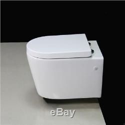 Toilet WC Bathroom Wall Hung Mounted Concealed Frame Ceramic Soft C Seat W4 KL