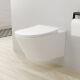 Wall Hung Bathroom Toilet Modern Cloak Room Ceramic Toilet With Soft Close Seat