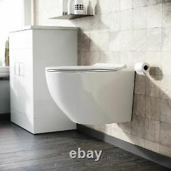 Wall Hung Modern Rimless Toilet Back To Wall Pan and Soft Close Seat Declan