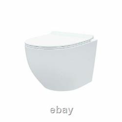 Wall Hung Modern Rimless Toilet Back To Wall Pan and Soft Close Seat Declan