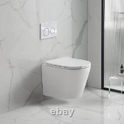 Wall Hung Pan & Soft Close Seat Ceramic Round Modern