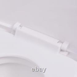 Wall Hung Toilet Ceramic White W6Z6