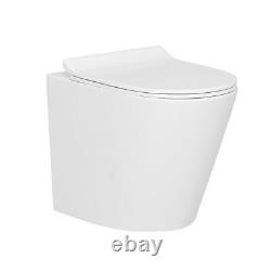 Wall Hung Toilet Rimless Pan Seat & Dual Conceal Cistern Frame Brass Flush Plate