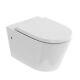Wall Hung Toilet Sphere Rimless Wc Ceramic Excluding Seat Britton 15. B. 27354