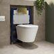 Wall Hung Toilet With Soft Close Seat Brushed Brass Pneumat Bun/beba 28418/88928