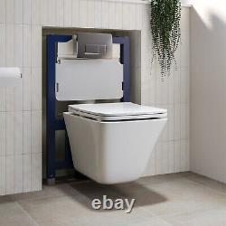 Wall Hung Toilet with Soft Close Seat Chrome Pneumatic Flus BUN/BeBa 27556/88916
