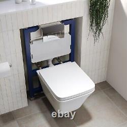 Wall Hung Toilet with Soft Close Seat Chrome Pneumatic Flus BUN/BeBa 27556/88916