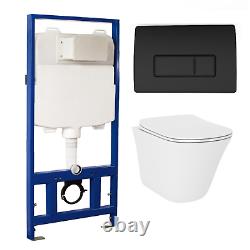 Wall Hung Toilet with Soft Close Seat Chrome Pneumatic Flus BUN/BeBa 27556/88957