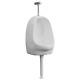 Wall Hung Urinal Toilet With Flush Valve Ceramic Classic Design (white)