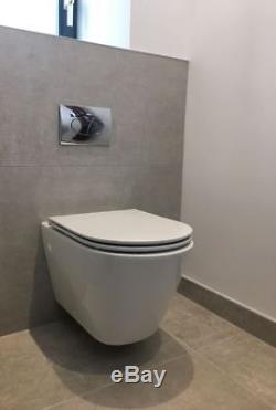 Wall Mounted Toilet Fixing Frame Cistern & Oval Chrome Pneumatic Push Plate